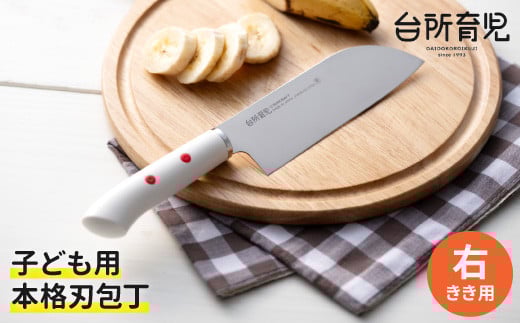 H8-138 子ども用包丁 【右利き】（DI-101） ～台所育児 誕生日プレゼント 進級祝い 入学祝い～