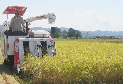 75-7N101新潟県長岡産コシヒカリ10kg（特別栽培米）【2025年9月下旬～10月下旬発送】