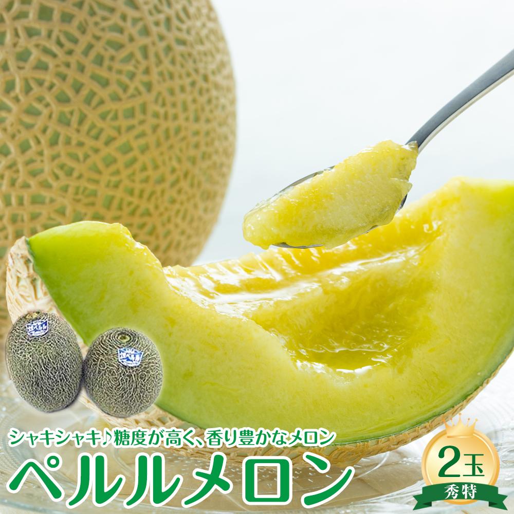 【ふるさと納税】741.【先行予約】【JA】ペルルメロン 秀特×2玉 ※離島への配送不可 ※2026年6月中旬頃～7月中旬頃に順次発送予定 | 先行予約 メロン 果物 フルーツ メロン 旬 甘い 鳥取県 おすすめ 人気