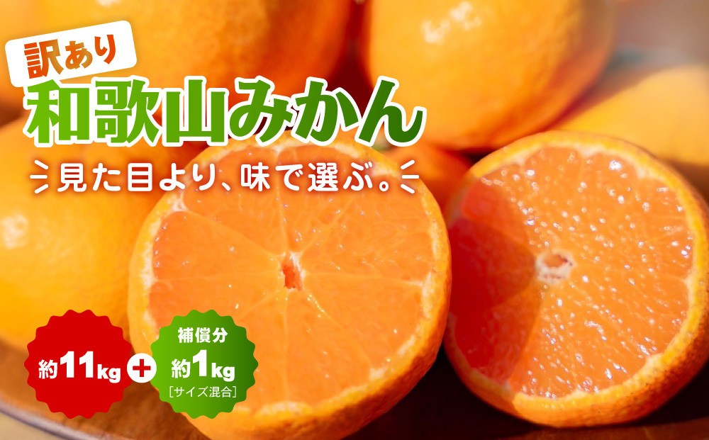 
                  【訳あり】和歌山みかん約11kg+補償分約1kg サイズ混合 11月より順次発送 訳ありみかん 【red2】
                