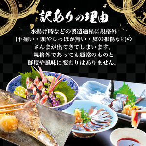 訳あり ＼ さんま ／ 2kg 冷蔵