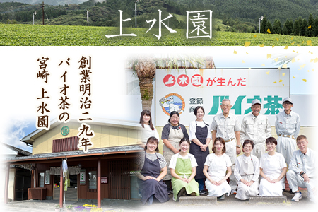 ＜バイオ茶セット(5袋)＞(計300g・3g×20パック入×5袋)自家茶園の茶葉100％のお茶をお楽しみください！【A-0801-km】【宮崎上水園】