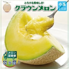 【毎月定期便】クラウンメロン(白等級) 小玉1玉 全12回