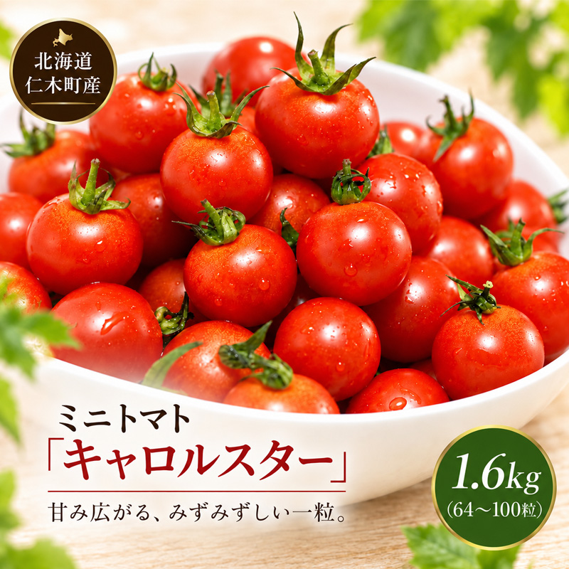 [先行受付] 北海道 仁木町産 ミニトマト キャロルスター 1.6kg （64粒～100粒）トマト 野菜 国産 プチトマト 甘み 使いやすい サラダ お弁当 家庭用 子供に人気 リコピン [REDA FARM]