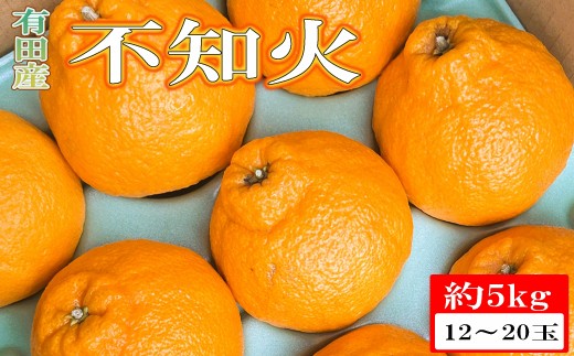 【濃厚】有田の不知火5kg（12～20玉）※2027年2月下旬～2027年3月下旬頃に順次発送予定【tec010-r-12】