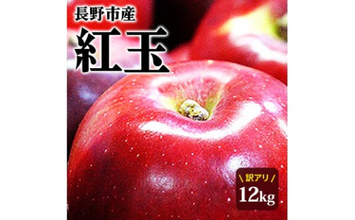 紅玉屋　紅玉訳アリ12kg りんご 長野市産 フルーツ【2026年9月下旬以降の出荷】 |  りんご フルーツ 果物 訳あり 人気 おすすめ ギフト プレゼント 送料無料 長野県 長野市 信州 信濃 ふるさと納税