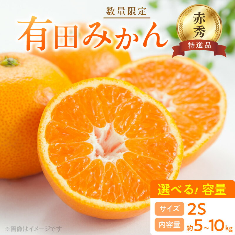 【ふるさと納税】【2025年先行予約】 高評価★4.57 数量限定 赤秀 特選品 有田みかん 2Sサイズ 選べる容量 約5kg ～ 約10kg 和歌山県 有田産 追熟 有田 みかん 温州みかん 柑橘 果物 果実 果肉 フルーツ ビタミン 国産 贈答用 ギフト用 期間限定 お取り寄せ 湯浅町 送料無料