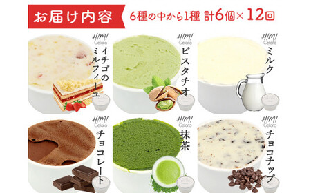 【12ヶ月定期便】【Himi Gelato】定番ジェラート6個いちごのミルフィーユ