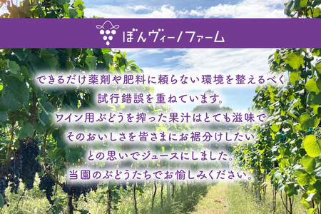 【極甘】 ワイン用 ぶどうジュース 6本セット [ぼんヴィーノファーム 長野県 池田町 48110735] 葡萄 ブドウ ストレート ギフト 極甘 果汁 100