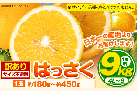 【訳あり/ご家庭用】 はっさく 約9kg (4L~Sサイズ) サイズ不選別 早生 晩生指定不可《2026年2月上旬-3月中旬頃出荷》和歌山県 紀の川市 産地直送 みかん 八朔 柑橘 果物 フルーツ ご家庭用 ビタミンC たっぷり---wfn_wlocal105_2j3c_25_10000_9kg---