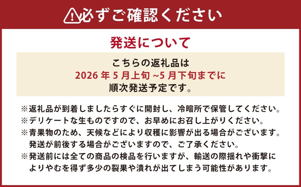 熊本県産 小玉すいか 1玉