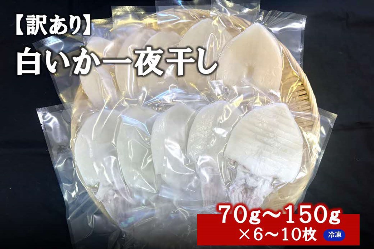 【訳アリ】白いか一夜干し　（７０ｇ～１５０ｇｘ6～１０枚） 訳アリ 小分け いか 白いか 個包装 一夜干し 産地直送 おつまみ 【1961】