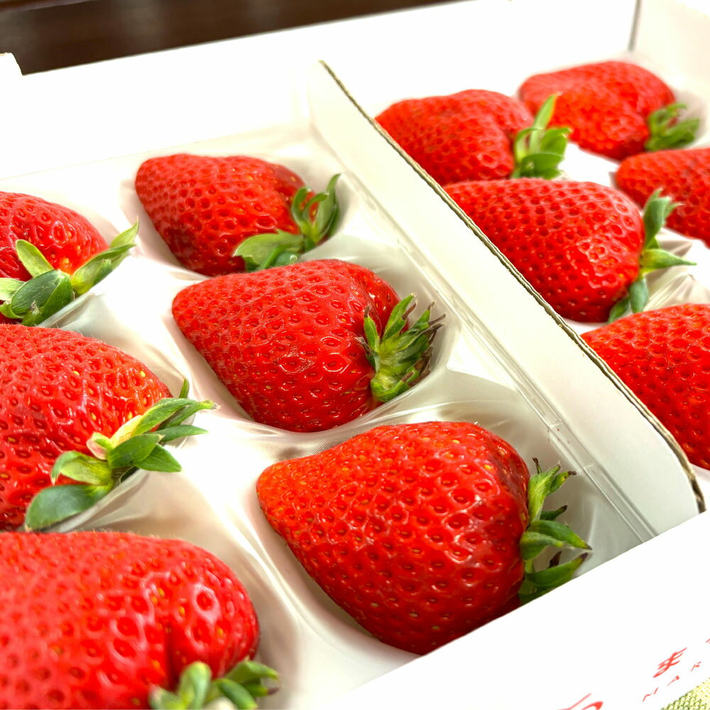 【ふるさと納税】＜選べる内容量＞寒蜜いちごスターナイト【大粒D】 化粧箱入り 計約600g（約300g×2パック） / 計約1.2kg（約300g×4パック） いちご イチゴ 苺 フルーツ くだもの 果物 果実 国産 静岡県 菊川市 送料無料 【2026年2月上旬～3月下旬まで順次発送予定】