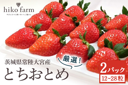 【先行予約】ごほうびいちご（厳選とちおとめ）2パック入り（12～28粒）黒パッケージ いちご イチゴ 苺 とちおとめ フルーツ 果物 くだもの デザート 【hiko farm（ヒコファーム）】 【ho1571】