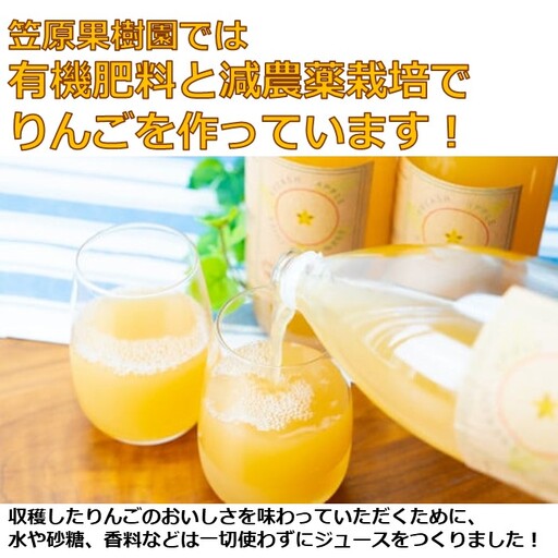 信州産 りんごジュース 1L瓶詰め [6本] 箱入り／ 笠原果樹園 果汁100% リンゴジュース 瓶 長野県産 産地直送 砂糖・食塩・香料不使用 ギフト プレゼント りんごジュース りんごジュース り