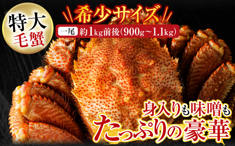 ボイル毛がに900g～1.1kg×1尾 F-14029