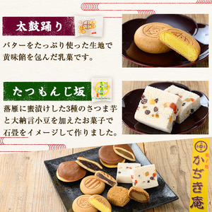 a990 銘菓詰め合わせ・計20個(5種×4個)【菓子処 かぢき庵】 姶良市 姶良カルどら くも合戦 さつまおまき 太鼓踊り たつもんじ坂 和菓子 手づくり お菓子 おやつ お茶請け お茶菓子 スイー