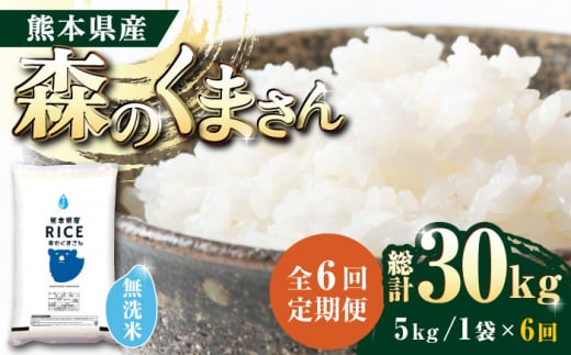 《 新米先行予約 》【全6回定期便】2025年10月より順次発送  森のくまさん 無洗米 5kg【有限会社  農産ベストパートナー】 定期便 5kg 無洗米 精米 森のくまさん 特産品 コメ 米 お米 熊本県 熊本県産  [ZBP037]