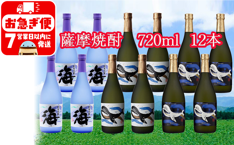 大海酒造特選飲み比べ 720ml 12本