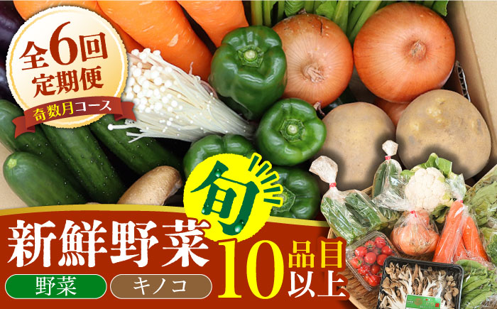 【6回定期便 奇数月コース】野菜定期便 きのこをセット 10品目以上 「6回（奇数月）」 / 野菜 春野菜 夏野菜 秋野菜 冬野菜 きのこ 旬 / 南島原市 / 吉岡青果 [SCZ005]