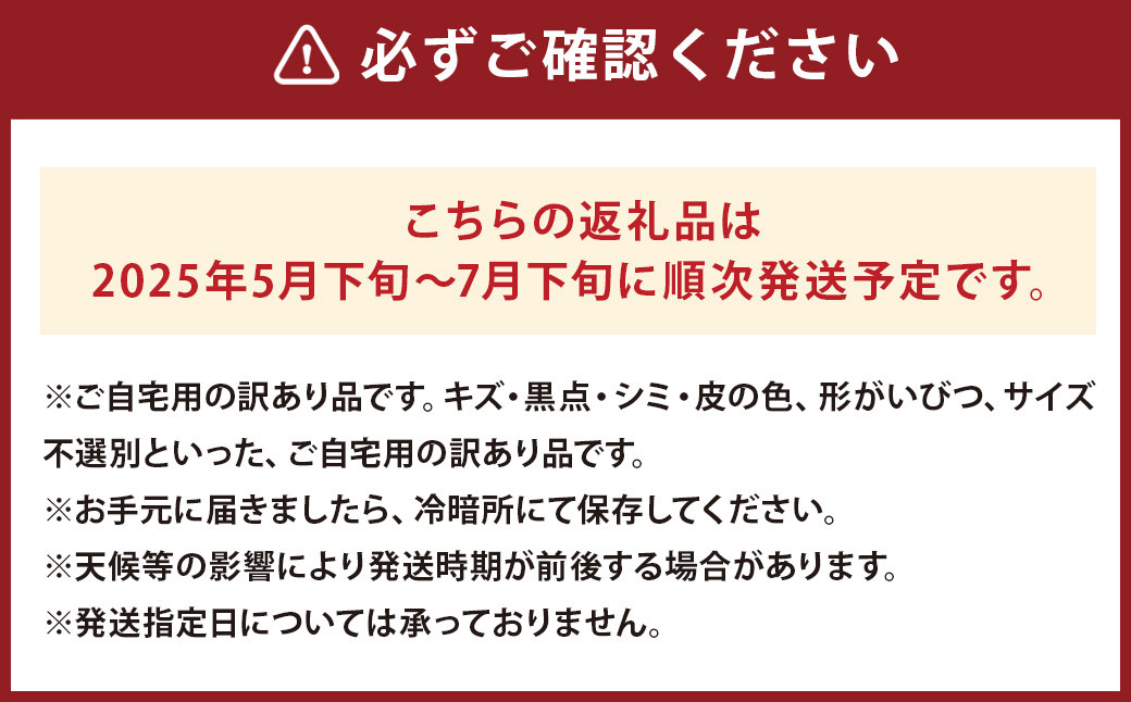 訳あり 大玉すいか 1玉 約6kg〜9kg 