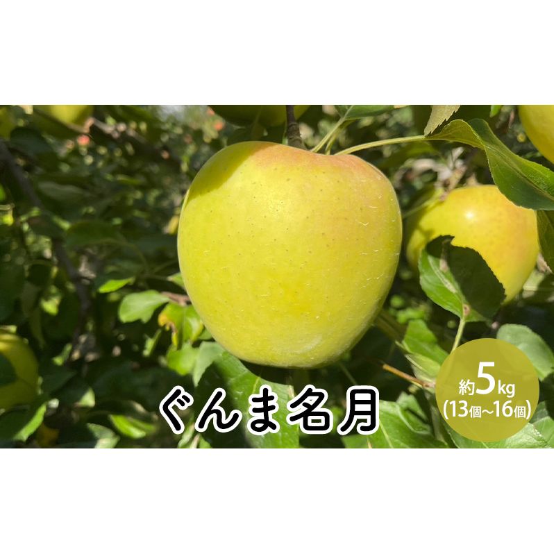 ぐんま名月約5kg（12～18個）