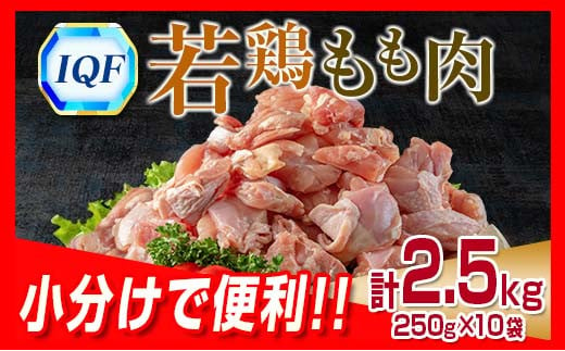 小分け 便利 カット済 若鶏 もも肉 計2.5kg 250g × 10袋 鶏肉 国産 おかず お弁当 おつまみ 食品 IQF冷凍 バラバラ凍結 チキン 簡単調理 から揚げ 親子丼 人気 おすすめ グルメ おすそ分け お取り寄せ 大容量 宮崎県 日南市 送料無料_BB70-22