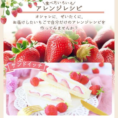 ふるさと納税 香南市 いちご 4パック 計60個程度 yr-0054 |  | 03