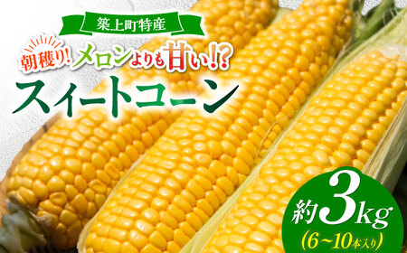 【令和7年6月18日締切】 築上町 特産品 スイートコーン 約3kg 【京築の恵み】【JA福岡京築　営農部】 とうもろこし [ABAW001] とうもろこし とうもろこし とうもろこし とうもろこし とうもろこし とうもろこし