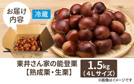 【先行予約】東井栗園の能登熟成栗（生栗） 1.5kg（4Lサイズ） ～能登の大地で育った能登栗～【2025年10月中旬以降順次発送】/  能登半島 奥能登 くり 生栗 マロン 和栗 焼き栗 栗ごはん 