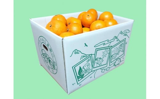 
            【2026年発送分 先行受付】たんかん ご家庭用バラ詰め７kg【たけはら農園】【たんかん, 南国フルーツ, 柑橘類, 果物類,  フルーツ, くだもの, 詰め合わせ,ご家庭用, 甘い, ジューシー, 季節限定, フレッシュ, 健康, ビタミンC, 旬の味覚, 産地直送, 鹿児島県, 奄美大島, 瀬戸内町, AD025】
          