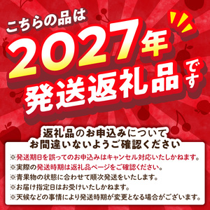 《先行受付》【2027年3月発送予定】 サンふじ約5kg・秀品【大江町産・山形りんご・大地農産】 028-034