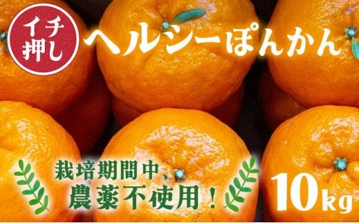 F139　ヘルシーぽんかん10kg　ポンカン ぽんかん 国産 東洋町産 オレンジ 蜜柑 ミカン 果物 フルーツ 甘い 酸味 ジューシー 完熟 高知県 四国 お取り寄せ 贈答 贈り物 ギフト 内祝 家庭用 自宅用