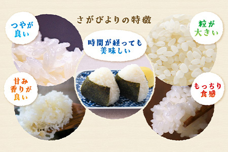 【ふるなびWEEK対象】 新米 令和7年産 佐賀県産 さがびより 10kg 白米【15年連続 特A評価】B-20 FN-Limited-PR