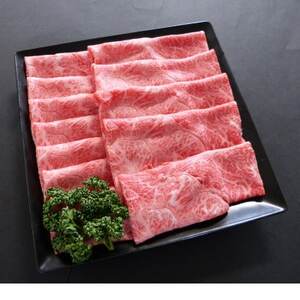 A5等級飛騨牛:赤身肉スライス500g　モモ又はカタ肉【配送不可地域：離島】【1539481】