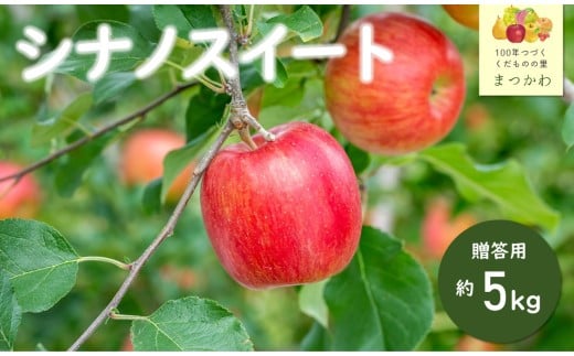 KR02-26A 【先行予約】りんご シナノスイート（中玉）約5kg 贈答 / 2026年10月中旬頃～配送予定 // 長野県 南信州 ギフト 贈答 リンゴ 林檎 農家直送 農家支援 産地直送