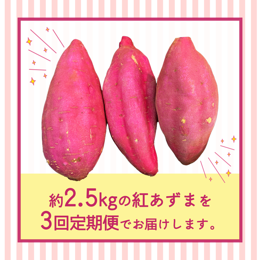 紅あずま 約 2.5kg （3回 定期便 ）（茨城県共通返礼品 [さつまいも]：行方市産） 3か月定期便 定期便 さつまいも サツマイモ べにあずま 芋 いも 野菜 根菜  茨城県産 お取り寄せ 野菜 根菜 いも [FC87-NT]