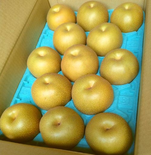 埼玉県宮代町の深井梨園で生産された、みずみずしい豊水梨です。旬の和梨5kgをお届けします。