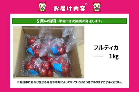 【先行予約】【5月中旬以降発送】フルーツトマト　中玉フルティカ1kg