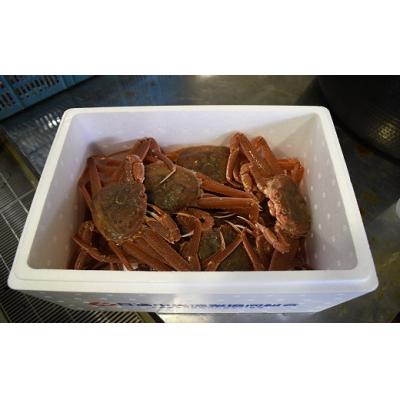 ふるさと納税 浦河町 訳あり ゆでオオズワイガニ約1kg(約4尾入)[02-1410] |  | 02