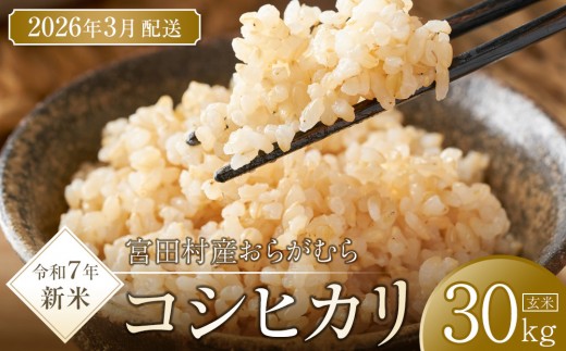 【予約受付】【令和７年米】【新米】長野県宮田村産コシヒカリ／玄米／30kg・60,000円／令和８年3月配送