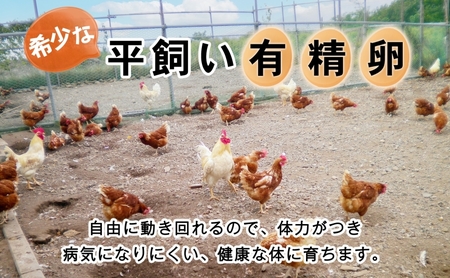 ◆6ヵ月連続お届け◆ 定期便 北海道伊達「太陽の園」の平飼たまご（有精卵）たまごの心 40個 Lサイズ
