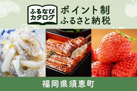 【有効期限なし！後からゆっくり特産品を選べる】福岡県須恵町カタログポイント
