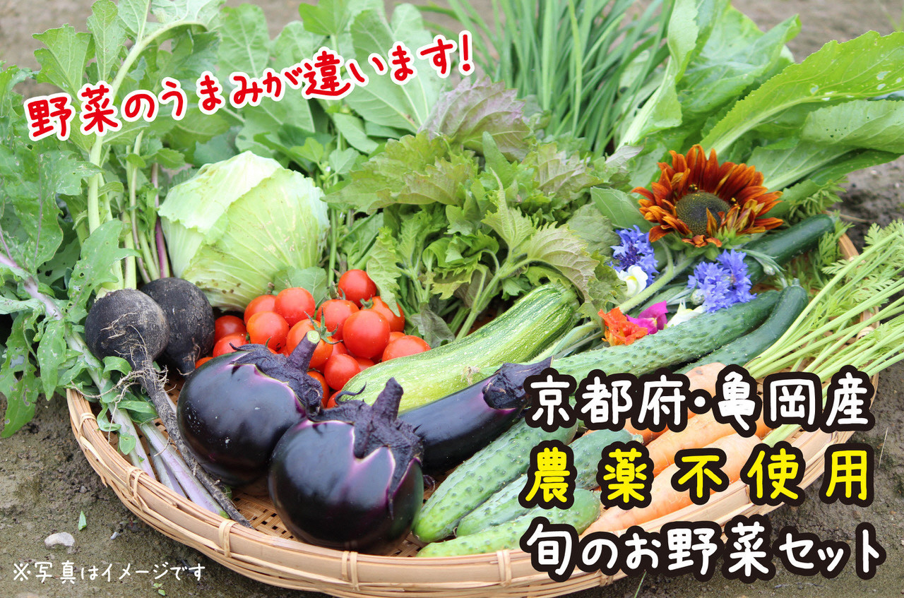 
京都府・亀岡産 無農薬・自然栽培で育てた体も心も喜ぶ、かたもとオーガニックファームの季節のお野菜セット　10～20品目　≪産地直送　朝採れ　新鮮　京野菜≫
