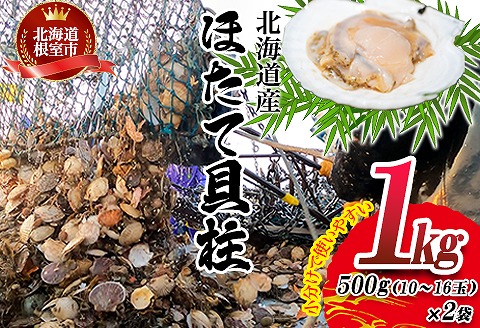 ほたて貝柱500g×2P(計1.0kg) B-45003