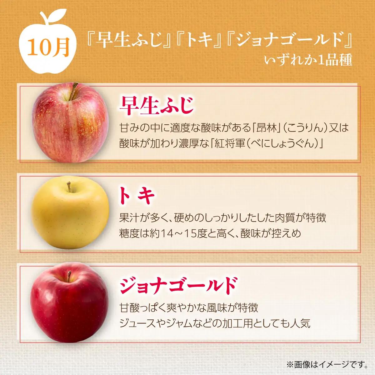 【先行予約】＜10･11･12月お届け＞北海道壮瞥町　旬のりんご約3kg　おまかせ定期便 SBTF031