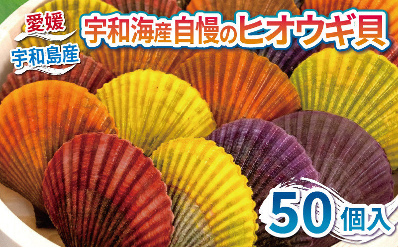 
                  海の幸 ヒオウギ 貝 50個 羽根 先行予約 BBQ 網焼き 二枚貝 貝柱 檜扇貝 ヒオウギ貝 海鮮 海産物 海 特産品 うま味 旨味 おつまみ アヒージョ チーズ バター 醤油 焼き アレンジ アウトドア キャンプ カラフル レシピ 産地直送 国産 愛媛 宇和島 D020-110003
                