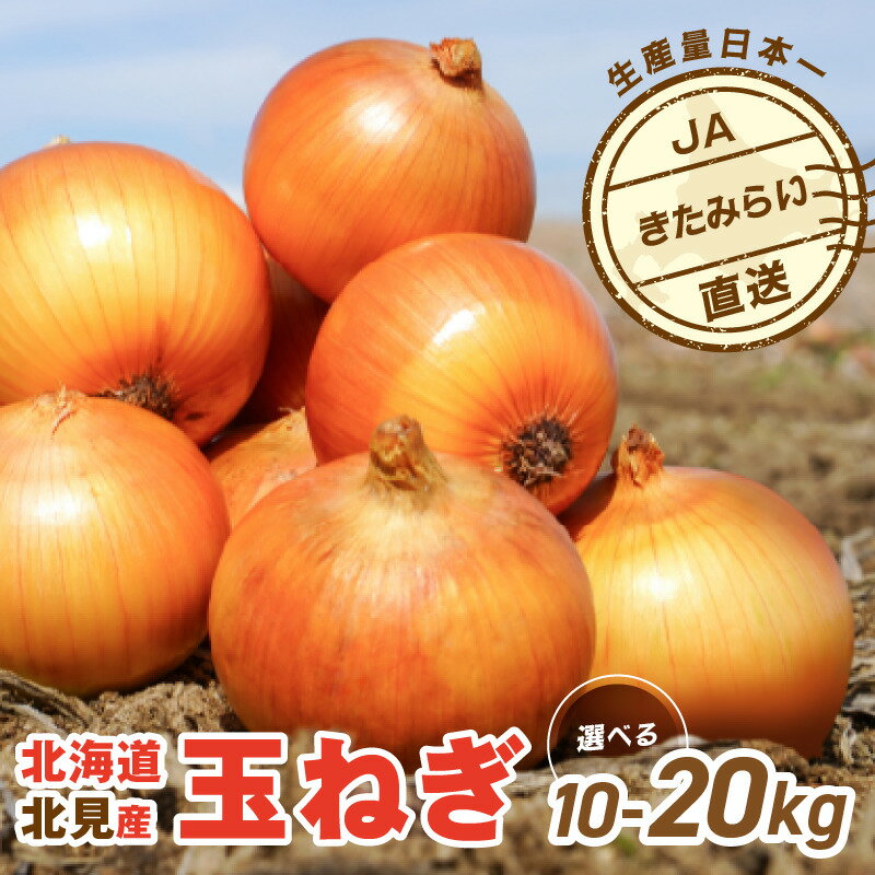 【ふるさと納税】★12月配送可能★JAきたみらい産 玉ねぎ Lサイズ 10kg 20kg