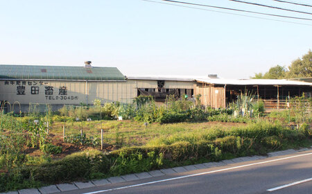 【豊美牛】三重県亀山産 黒毛和牛 カルビ 焼肉用 800g / 国産牛 ブランド牛 牛肉 お肉 / 亀山市 / 豊田畜産 [AMAL003]