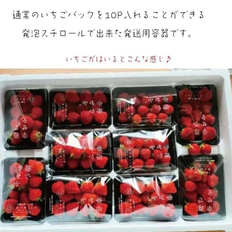 先行予約  定期便 2回【5～6月発送】訳あり越後姫 約200g×10定期配送 越後姫 えちごひめ 苺 いちご 訳あり 新潟 苺の花ことば